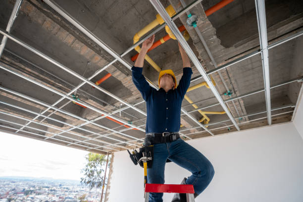 Best Local Plumber Services  in Frostproof, FL