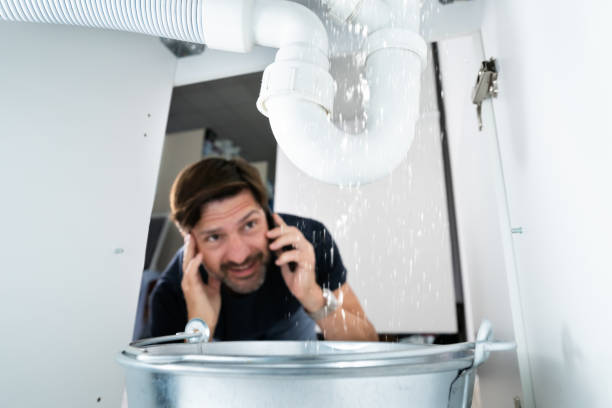 Best Best Plumbers Near Me  in Frostproof, FL