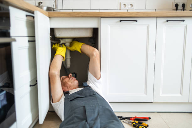 Best Commercial Plumbing Services  in Frostproof, FL