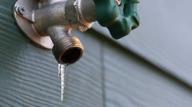 Best Plumbing Inspection Services  in Frostproof, FL